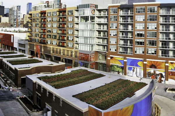 The Best Green Architects in Chicago, Illinois - Chicago Architects